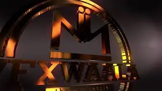 Logo entry