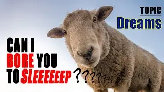BORE you to sleep talking about DREAMS (Human voice, not AI)