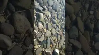Весеннее море....