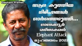 ആന കുത്തിയ നിമിഷം... | Onakkoor Rathnakaran | Polakkulam Vishnu Narayanan | Elephant Frames | PART 1