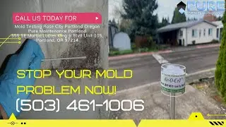 Mold Testing Rose City Portland Oregon - Pure Maintenance Portland - (503) 461-1006