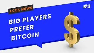 ECOS News: Attractive Bitcoin, Pornhub & Italy's largest insurer working with cryptocurrency 💡
