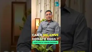 Сестра или свояченица в роли донора яйцеклеток? Юридическая процедура подробно описана. Вот что г...