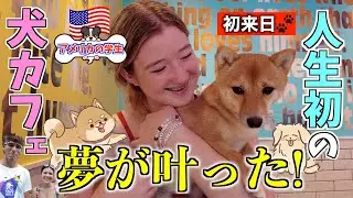 アメリカの高校生が初めて日本の犬カフェに大興奮・・【修学旅行で夢の日本へ】