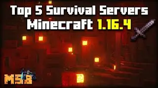 Top 5 Best Minecraft 1.16.5 Survival Servers (2024)