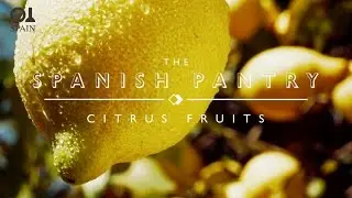 The Spanish Pantry: Citrus Fruit