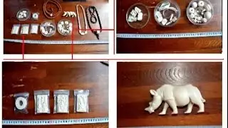 Chinese Police Seizes 30 Million Yuan of Wild Ivory Products