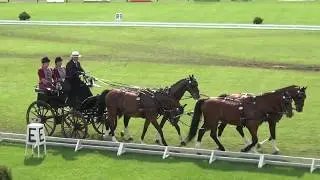 Lázár Zoltán - CAN-A, H4, Mezőhegyes, díjhajtás/dressage, 2020. július 3.