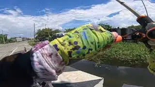 EP1 BREAK THE CURSE Urban Fishing CDO
