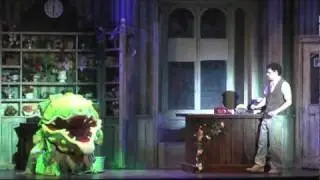 NC Theatre's Little Shop of Horrors