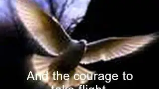 Strength of Spirit Consulting (Out of the Woods)