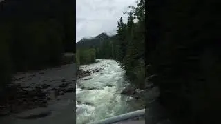Stop doing that! 😩 #coloradohiking #funny #funnyvideos #coloradocamping #coloradolife #colorado