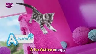 Wow, New Whiskas&reg; Improved Recipe😻 with A-B-C, 3 Signs of healthy cat.✨