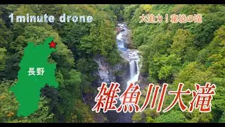 【1min. drone #351】長野県栄村・雑魚川大滝～大迫力！秘境の滝～