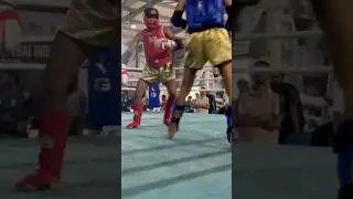Powerful low kick  #wbcmuaythai