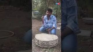 Is Mumbai&rsquo;s Aarey Milk Colony an archeological site? Newly found Pedestal might indicate so