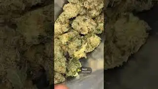 Sinse Turpee Slurpee: The BEST Weed in Missouri?
