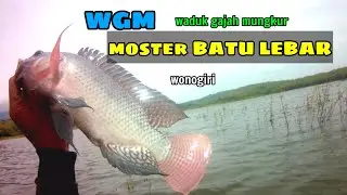Mancing nyobok di wisata BATU LEBAR ‼️ada ikan nila SEGEDE INI‼️||WGM TERBARU||MANCING NYOBOK