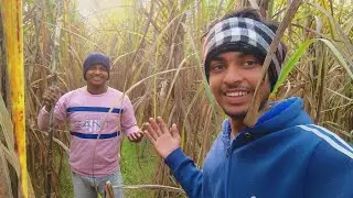 Ganne ke khet mai aa gaye 😁 DAY - 67