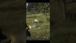 I&rsquo;m impressed with me too 😂 #rdr2roleplay #shorts