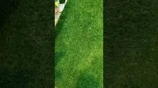 imported artificial grass