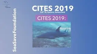 Marine species @CITES 2019