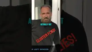 Насекомые-вредители побеждены с помощью инсектицидов Pest Interceptors! #инсектицид #контрольнасе...