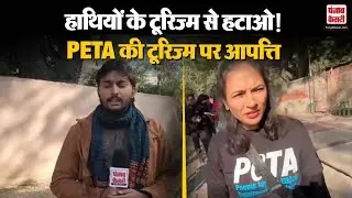 Delhi News: PETA India ने उठाई हाथियों को टूरिज्म से हटाने की मांग, दिल्ली में नया विरोध!