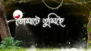 🦋Tumi asa babe💓//assamese lyrics status animation/#assamesestatus#assameselyricsstatus