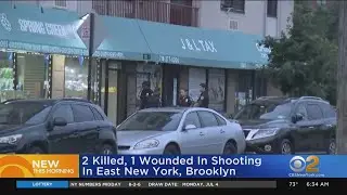 2 killed, 1 hurt in Brooklyn deli shooting