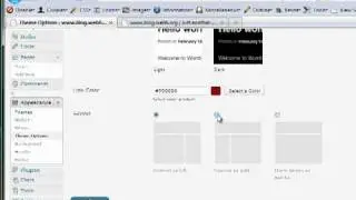 Twenty Eleven Theme Features - The coming WordPress 3.2 Default Theme
