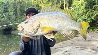 MANCING CASTING DI ALAM LIAR, PAPUAN BLACK BASS