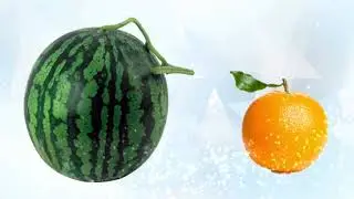 NBPB to- nhỏ