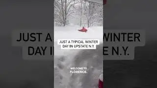 Just a normal winter day in New York