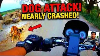 A Dog Attack Ended My Solo Adventure. (This is What I Learned)