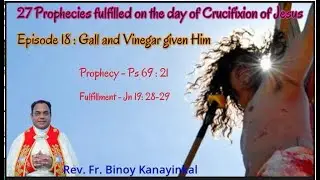Episode 18 : Gall and Vinegar given Him - Rev. Fr. Binoy Kanayinkal