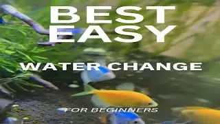 Easiest way to do a water change ? *BEGINNERS*