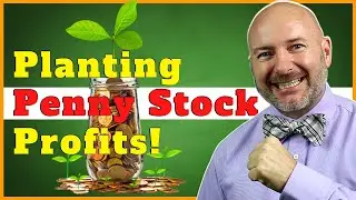 5 Disruptive Penny Stocks Changing Lives