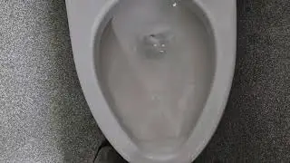 Bathroom Tour: Kohler Fixtures at Costco in Fort Klein, GA