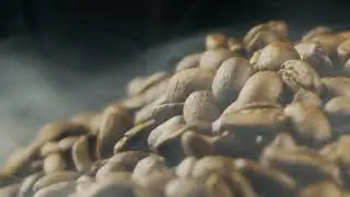 Leo Coffee Estate Palani Hills - Coffee Plantation to Powder Process Video