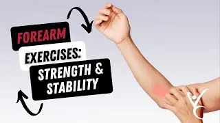 Forearm Exercises to Improve your Strength and Stability