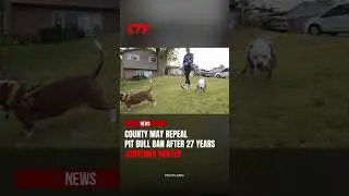 Prince George&rsquo;s County Considers Repealing Pit Bull Ban After 27 Years