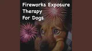 Dog Fireworks Training Level 7