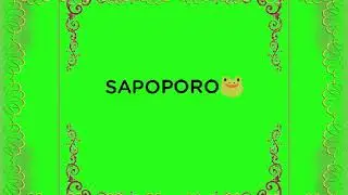 SAPOPORO🐸