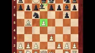Chess - Pins