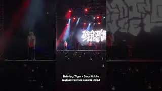 Balming Tiger - Sexy Nukim (Joyland Festival Jakarta 2024) #concert #joyland #balmingtiger