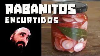 Rabanitos encurtidos