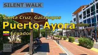 🇪🇨 Puerto Ayora, Santa Cruz, Galapagos, Ecuador, May 2025 | Silent city walk | #4k
