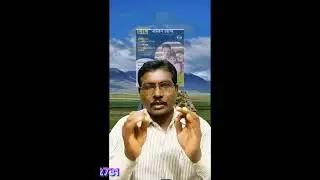 अब बच्चों को भी दिलाइए पेंशन 50 हजार वार्षिक लाइफ टाइम #lic #licplan
