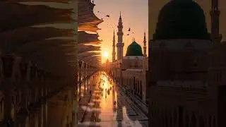 11 февраля 2026 г.